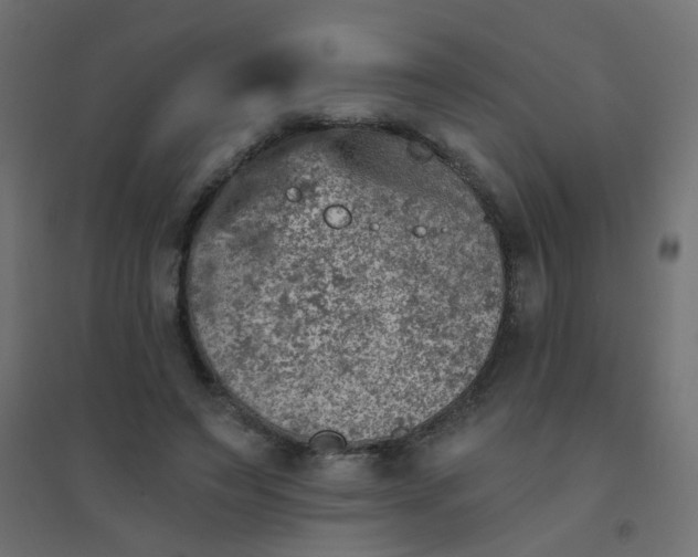 X0000094460495200711211544