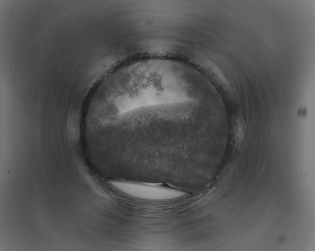 X0000094460496200711211544