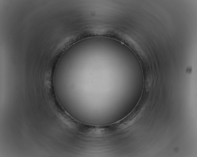 X0000094460497200711211544