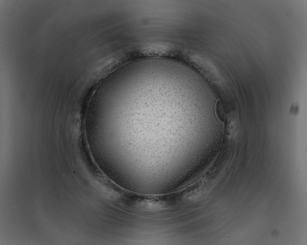 X0000094460498200711211544