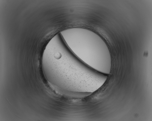 X0000094460501200711211544