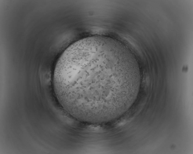 X0000094460502200711211544