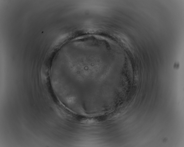 X0000094460503200711211544