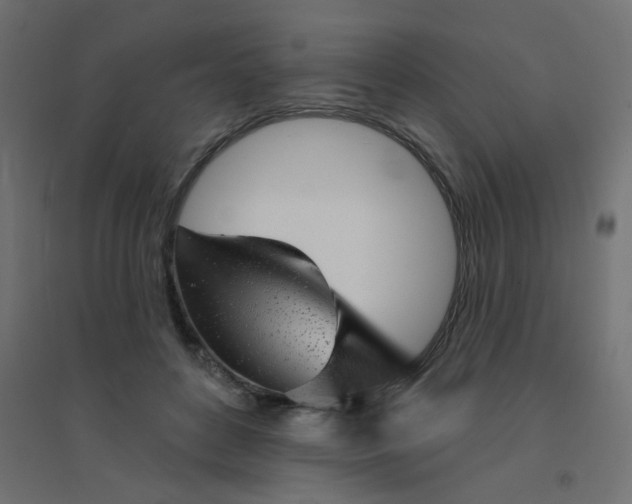 X0000094460504200711211544