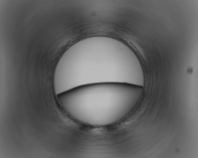 X0000094460505200711211544