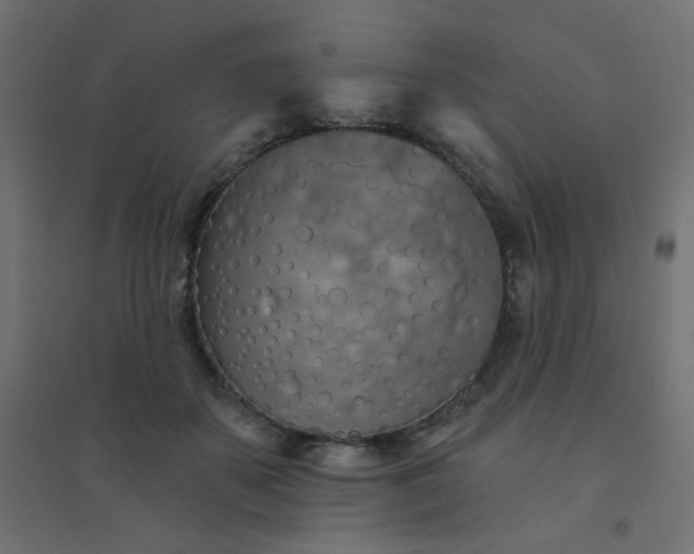 X0000094460507200711211544