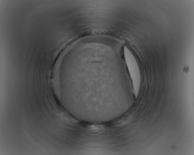 X0000094460508200711211544