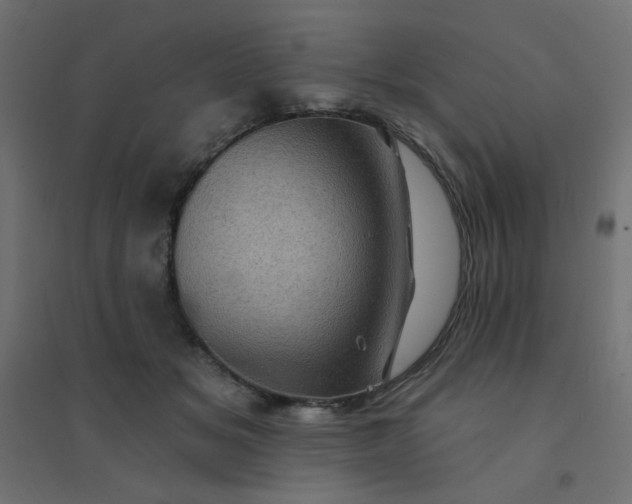 X0000094460509200711211544