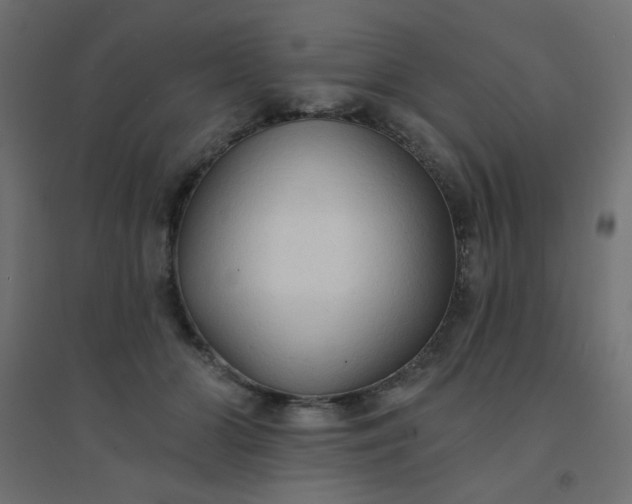 X0000094460510200711211543