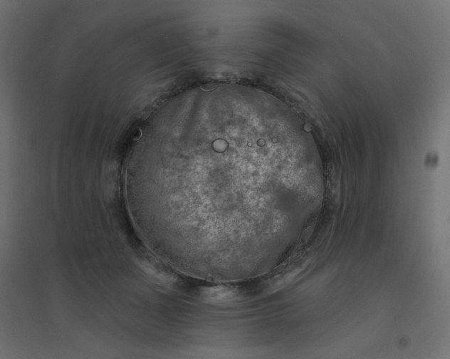 X0000094460511200711211543