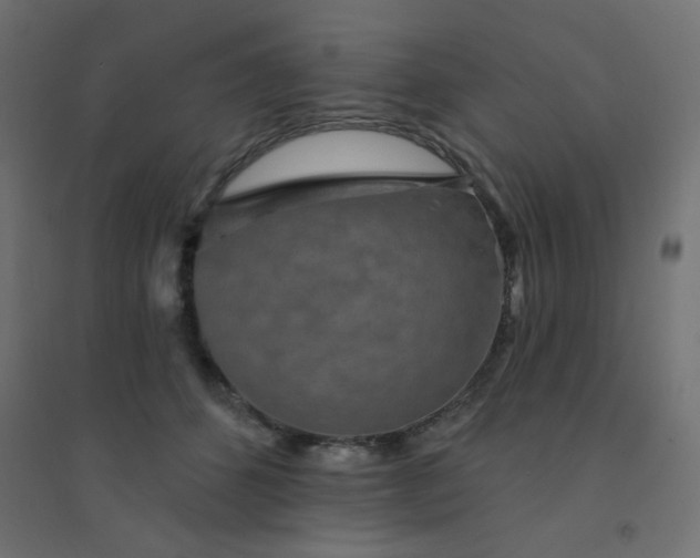 X0000094460512200711211543