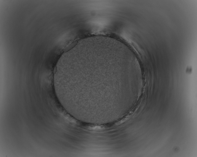 X0000094460513200711211543