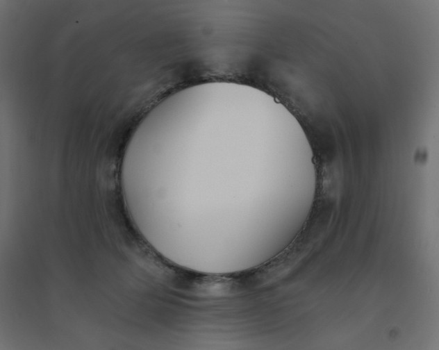 X0000094460514200711211543