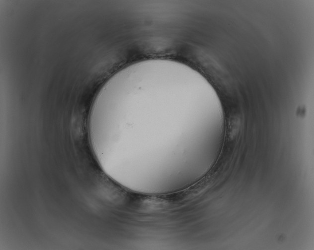 X0000094460515200711211543