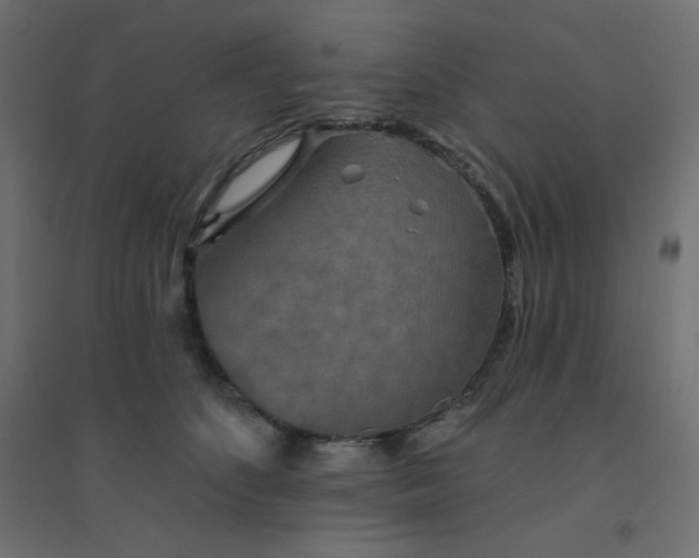 X0000094460516200711211543