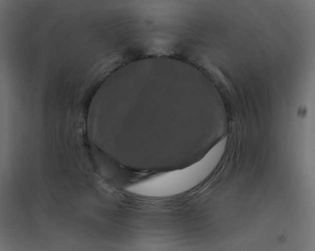 X0000094460517200711211543