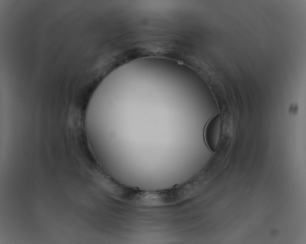 X0000094460518200711211543