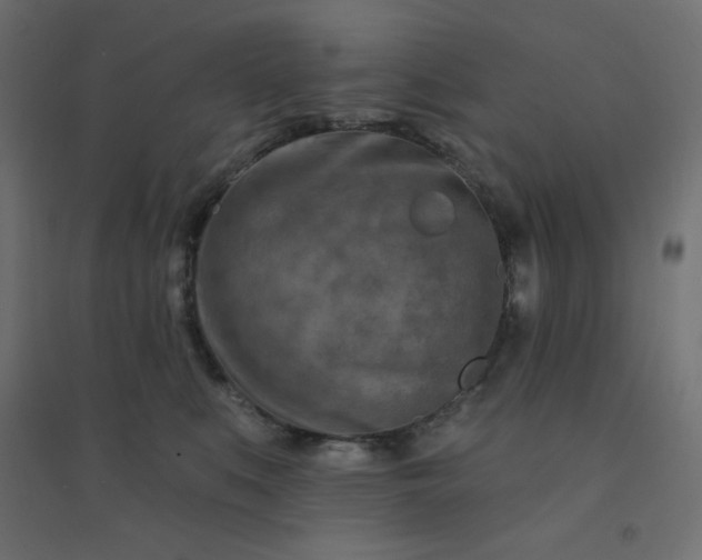 X0000094460519200711211543