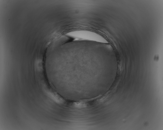 X0000094460520200711211543