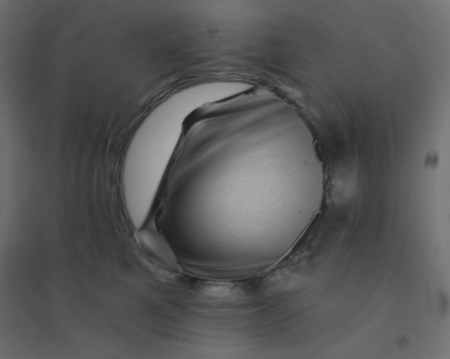 X0000094460521200711211543