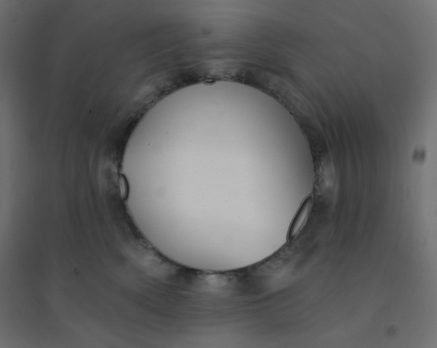 X0000094460522200711211543