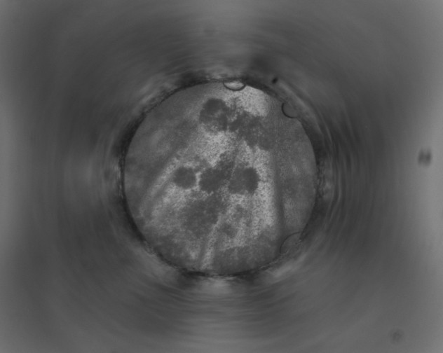 X0000094460523200711211543