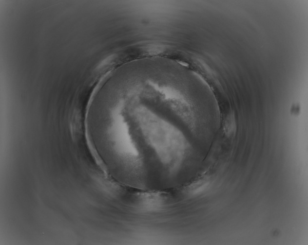 X0000094460524200711211543