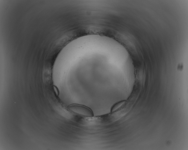 X0000094460526200711211543