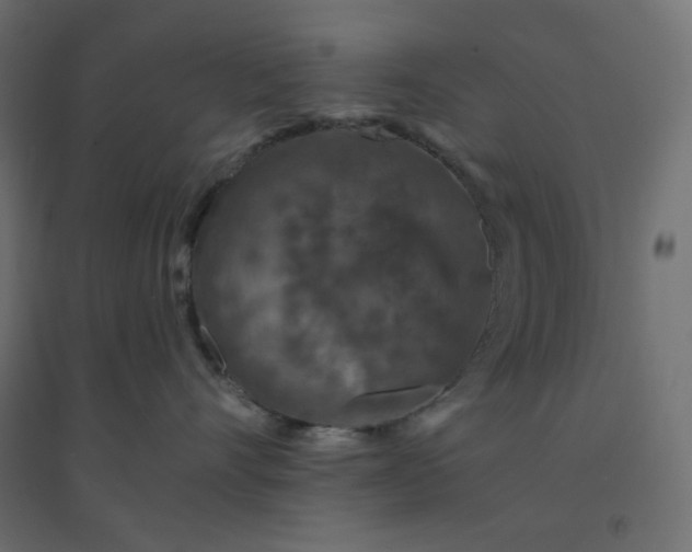 X0000094460528200711211543