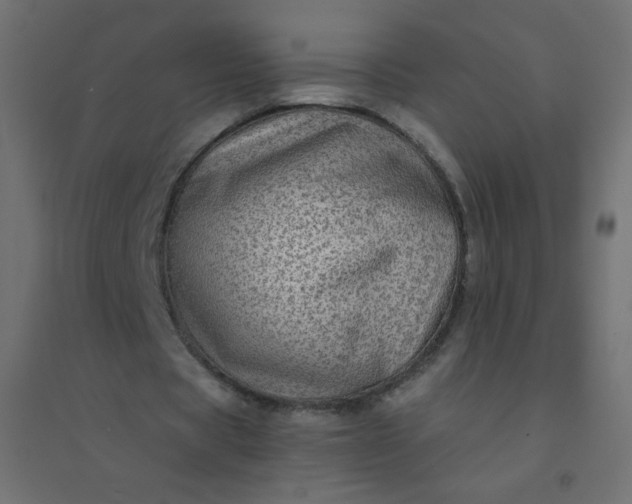 X0000094460529200711211542