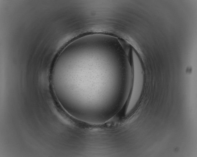 X0000094460530200711211542