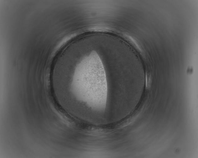 X0000094460531200711211542