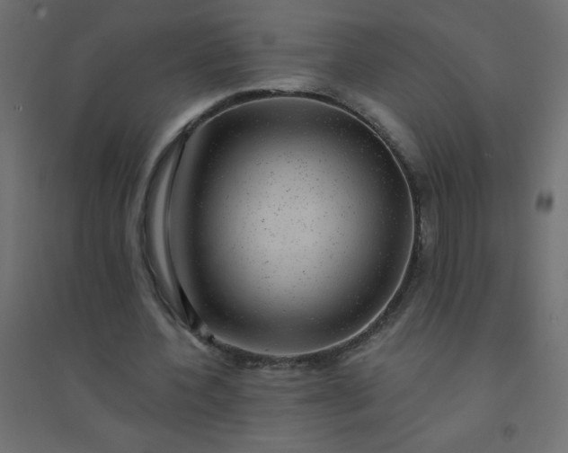 X0000094460532200711211542