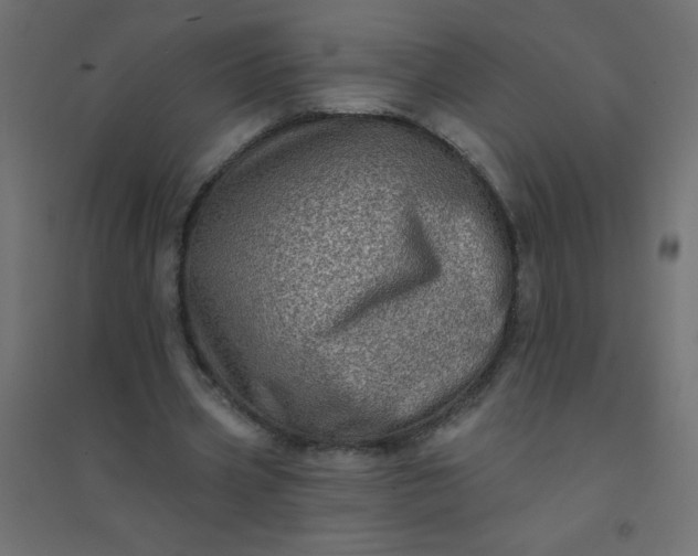 X0000094460533200711211542