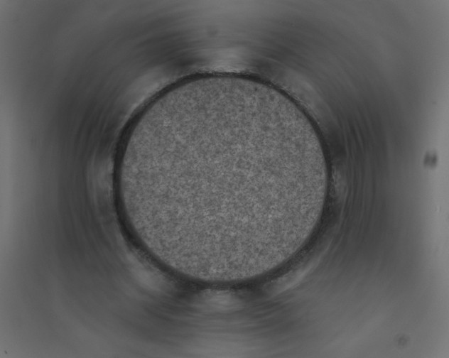 X0000094460534200711211542