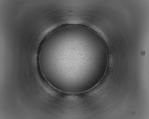 X0000094460535200711211542