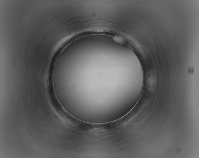 X0000094460536200711211543