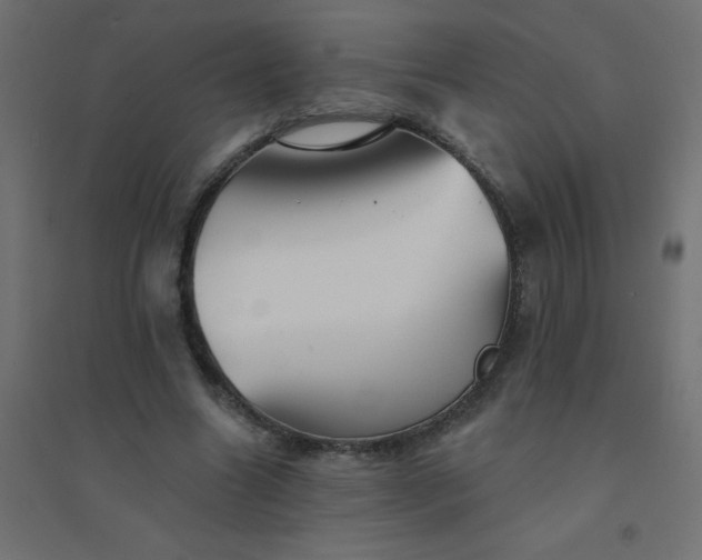 X0000094460538200711211543