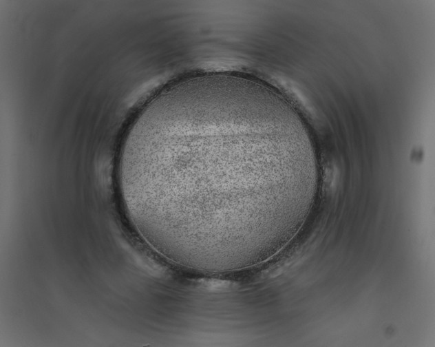 X0000094460539200711211543