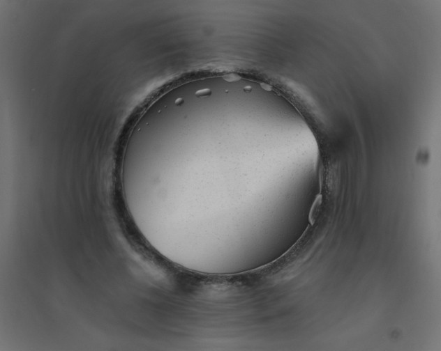 X0000094460540200711211543