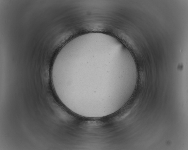 X0000094460541200711211543