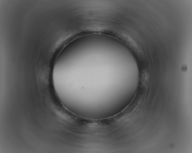 X0000094460544200711211543