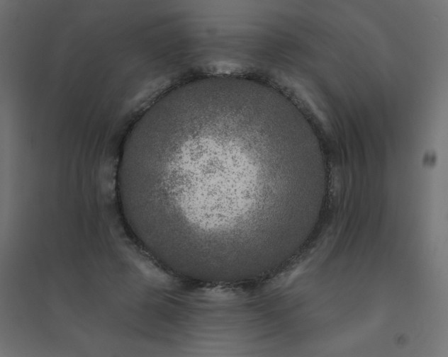 X0000094460545200711211543