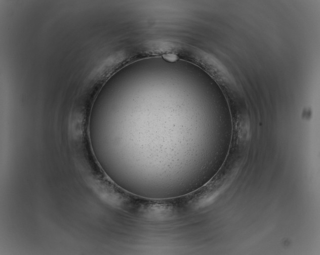 X0000094460546200711211543