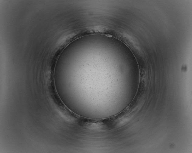 X0000094460548200711211543