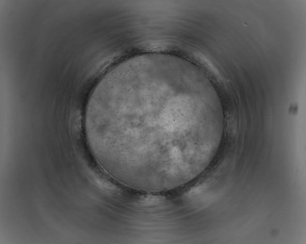 X0000094460549200711211543