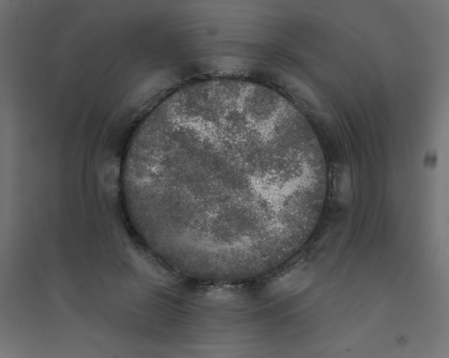 X0000094460550200711211543