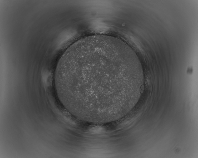 X0000094460551200711211543