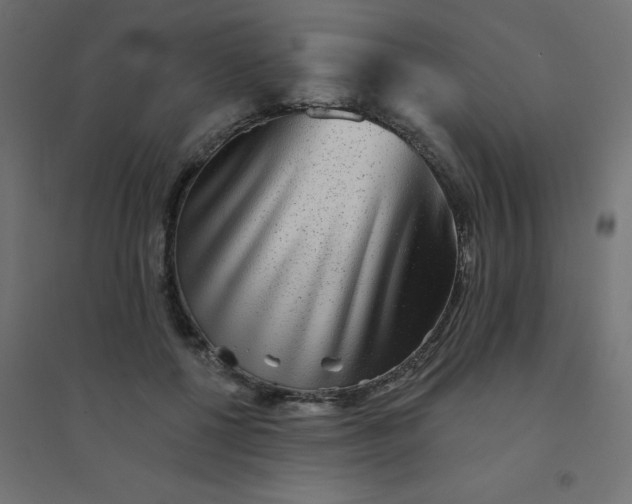 X0000094460552200711211543