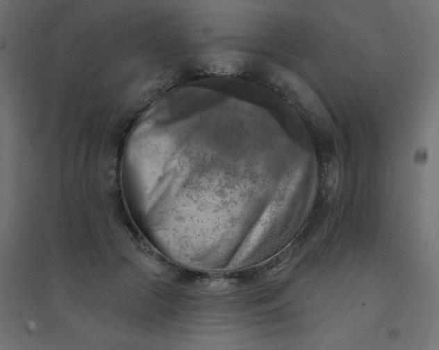 X0000094460553200711211543